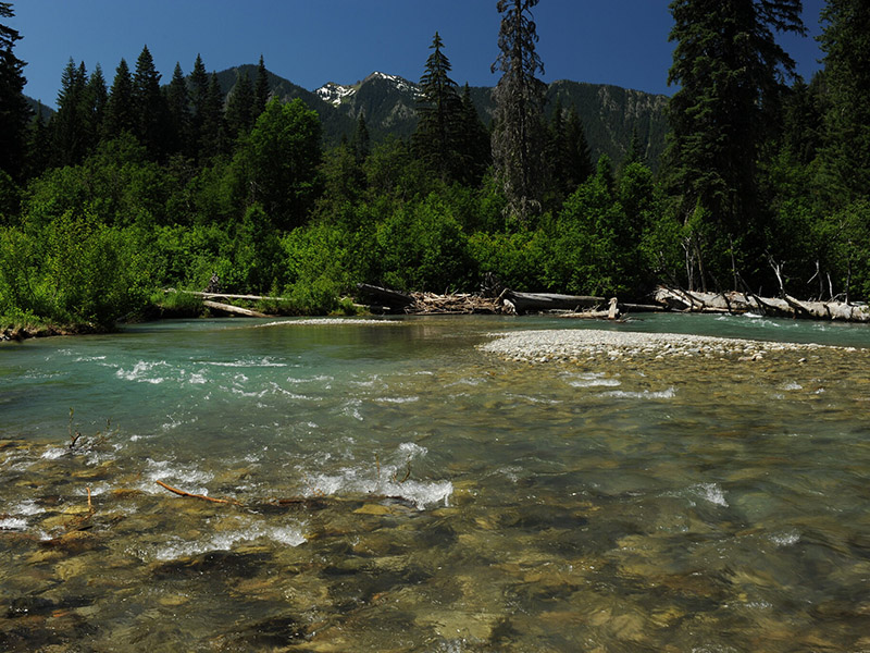 Beautiful river surrounded by trees on the left, rocky shore on the right.