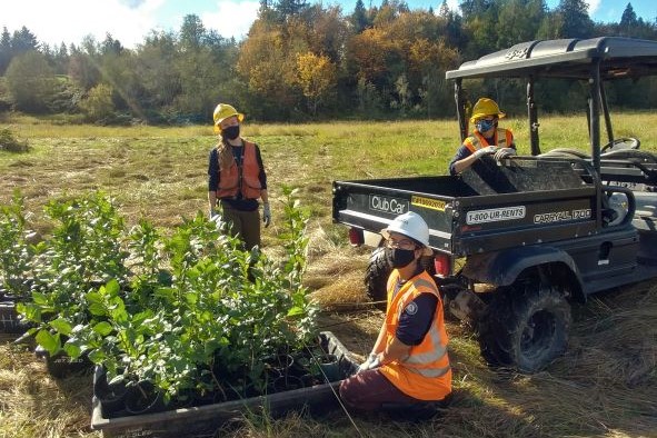 A WCC supervisor in a white hard hat kneels beside a flat of potted plants. Two crew members: 1 in the front seat of a utility cart, and 1 behind the plants.