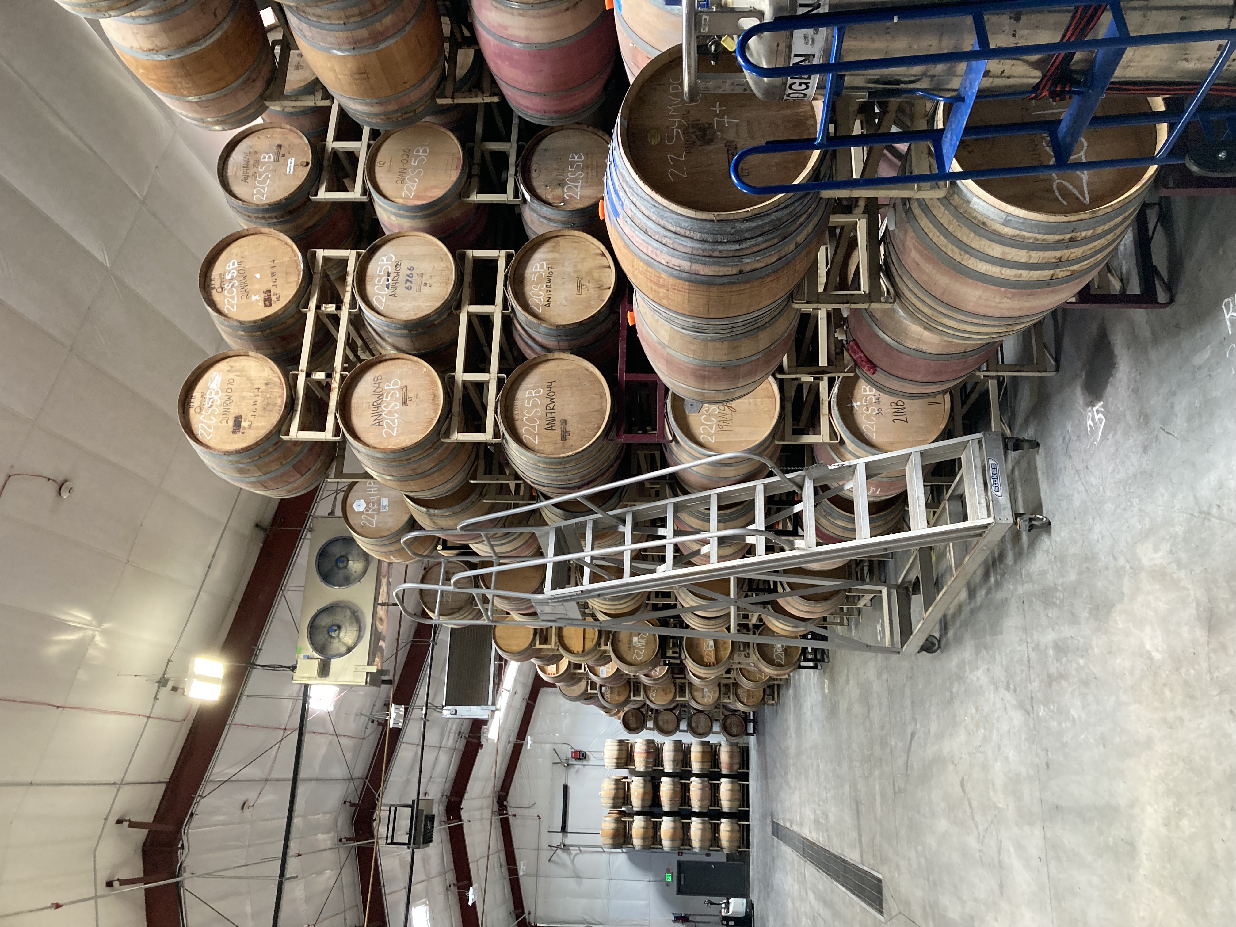 wine barrels on racks