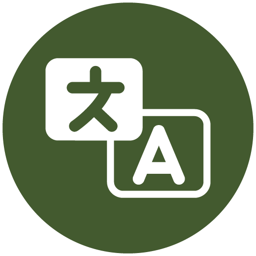 Translation icon