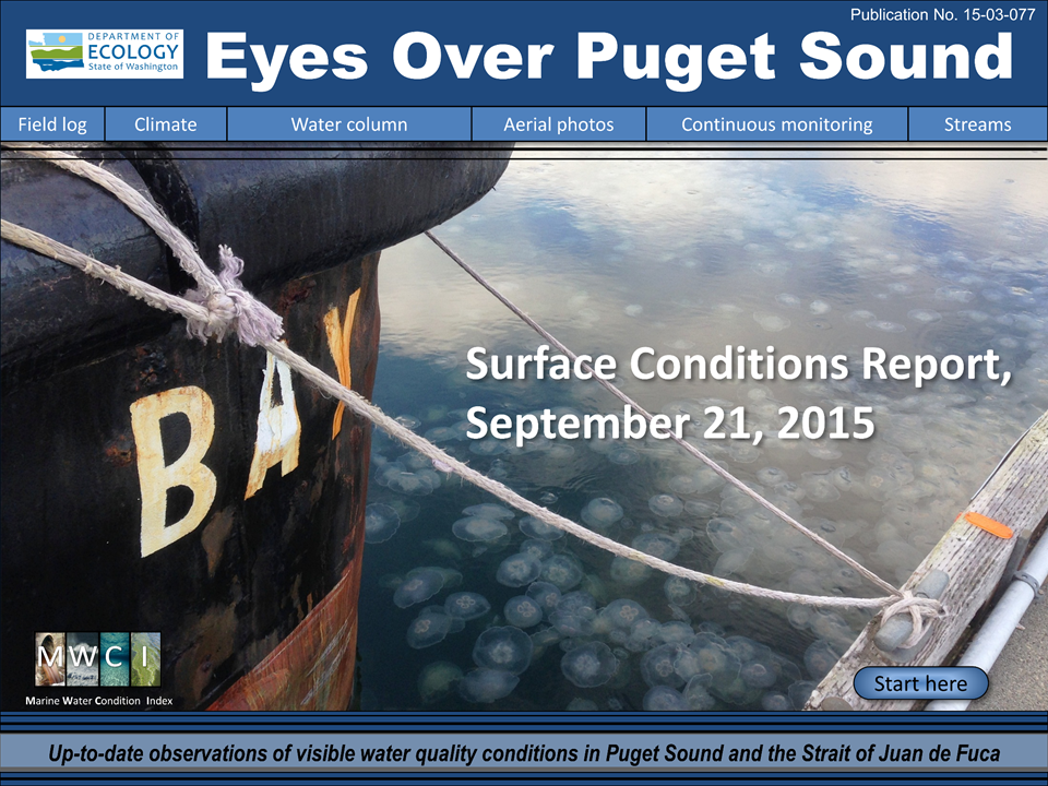 Front cover of Eyes Over Puget Sound shows many jellyfish swimming beside a dock. 