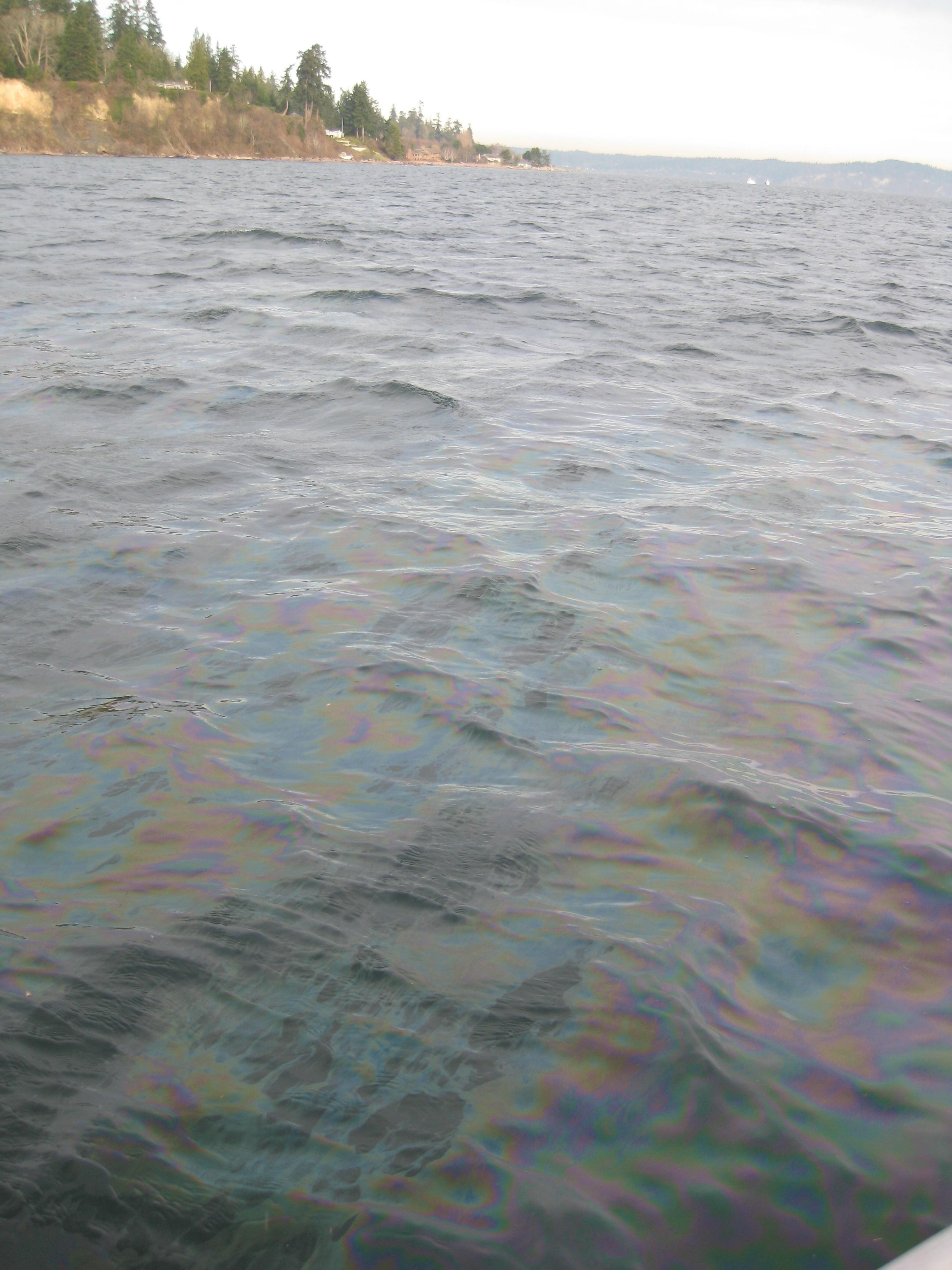 Sheen from an oil spill near Eagle Harbor in Kitsap County
