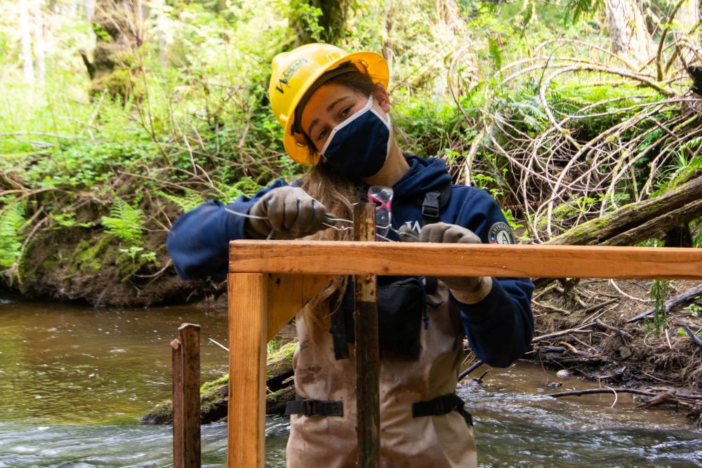 A WCC member wearing waders, a hard hat, and a face mask stands in a stream while constructing an  in-stream structure for fish.