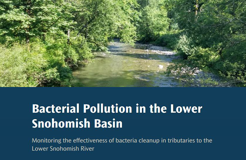 Story map header with title Bacteria in Lower Snohomish Tributaries and photo of Pilchuck River