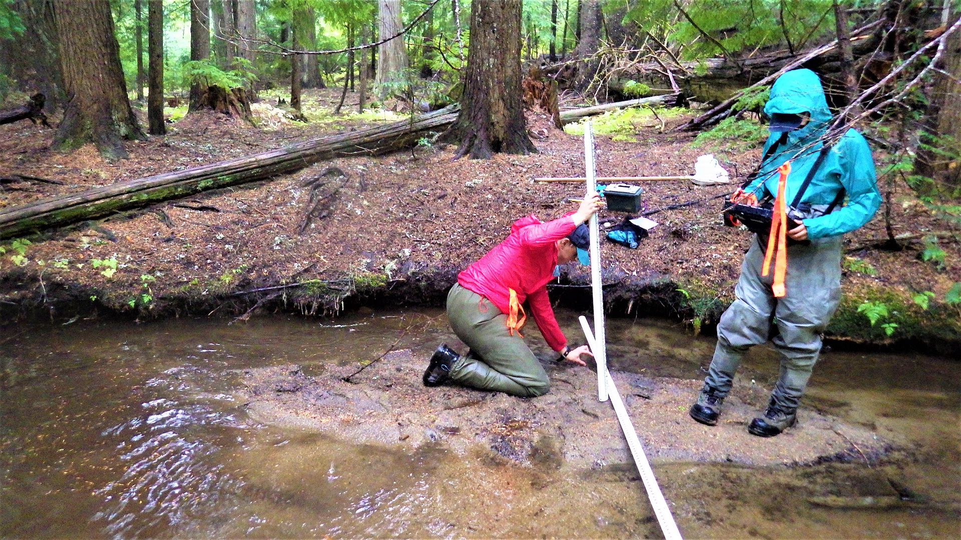 A stadia across the stream to measure bar height and water depth.