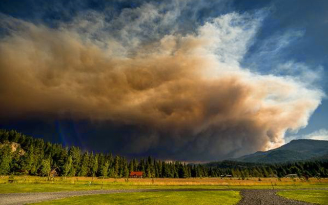 A large cloud of wildfire smoke hovers ominously over an open field