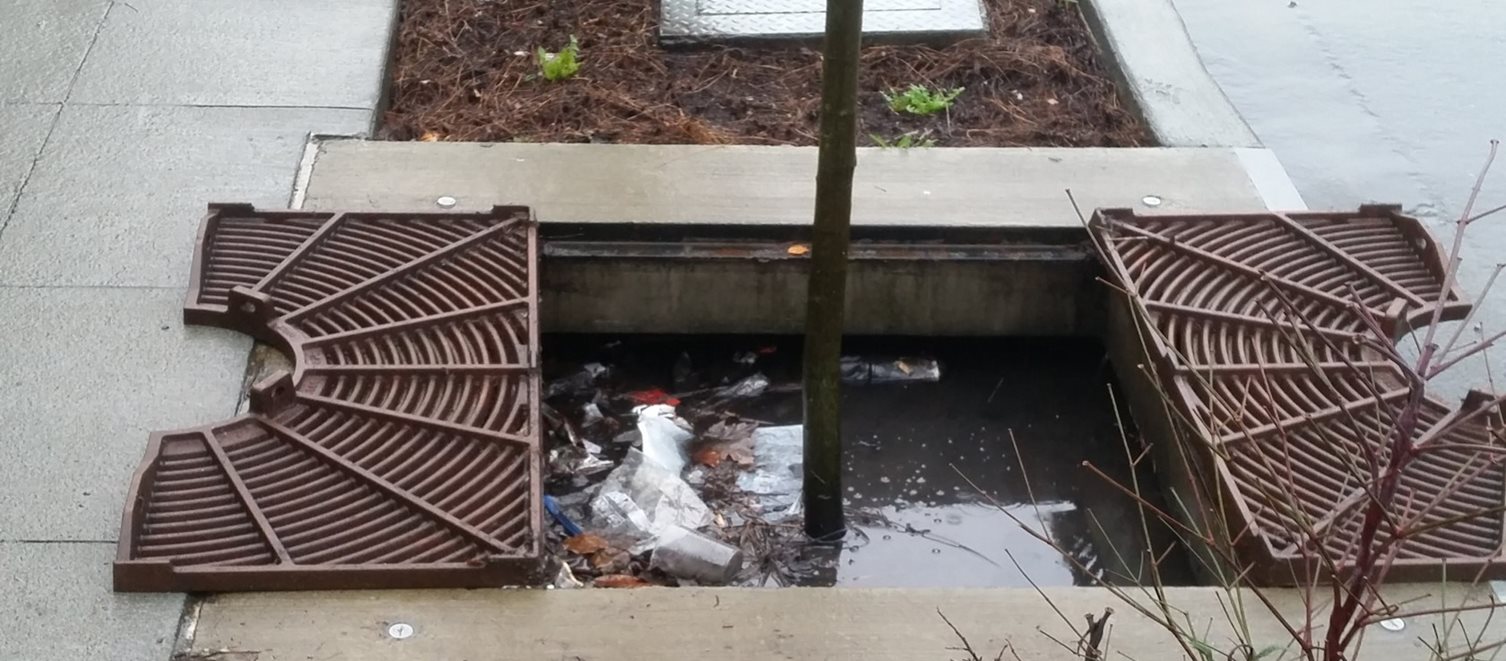 Stormwater retrofit near Echo Lake shows filtered trash in stormwater.