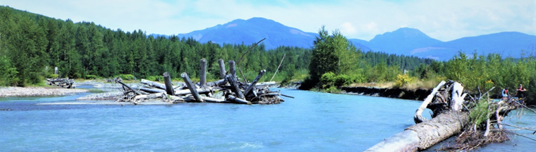 Large river lined with fir trees and mountains in the distance