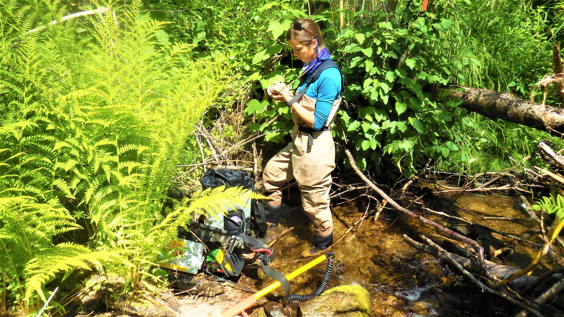 A person with a notebook and fishing equipment at a small creek.
