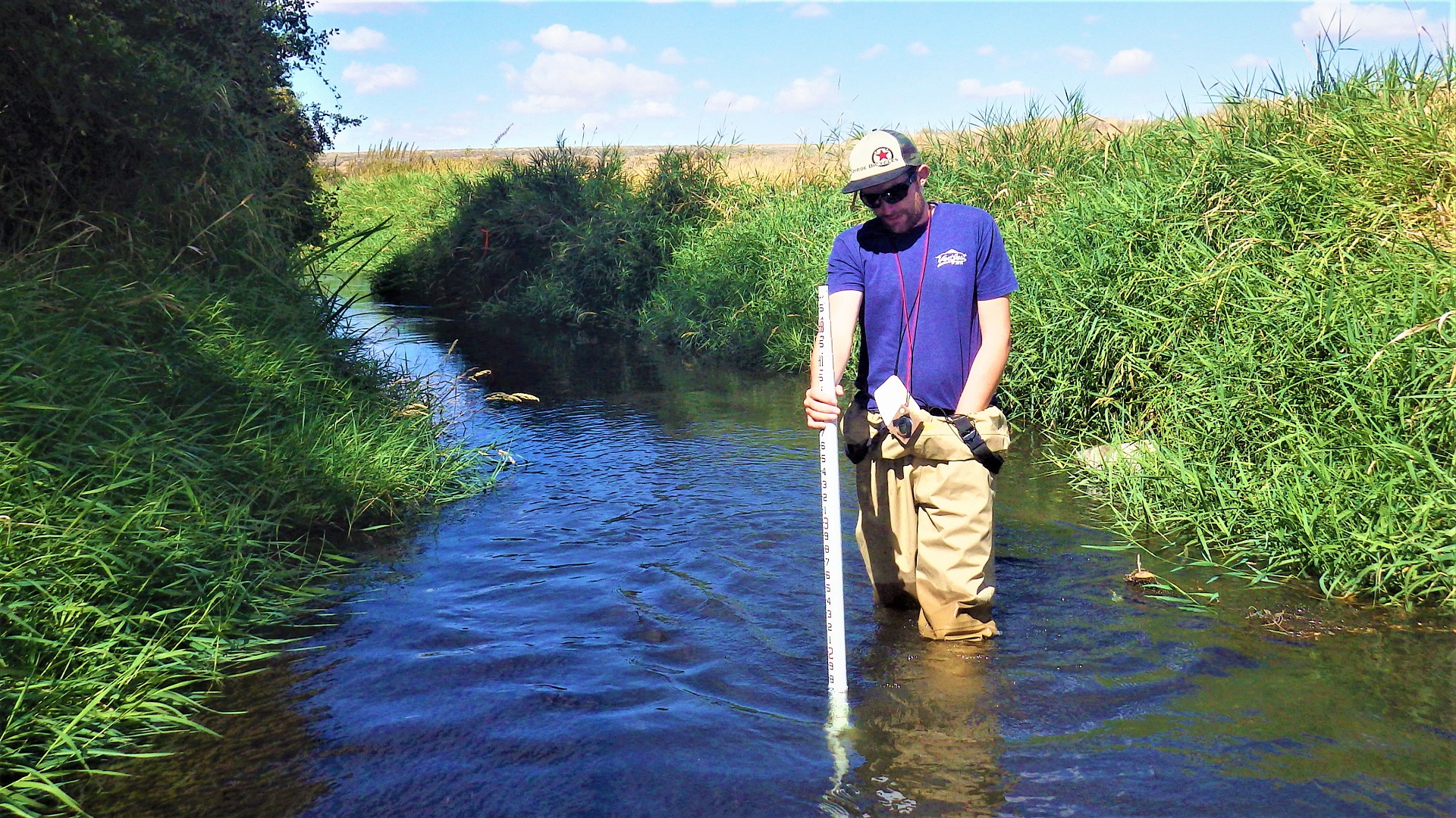 A crew member with a stadia rod in the center of a shaded creek.