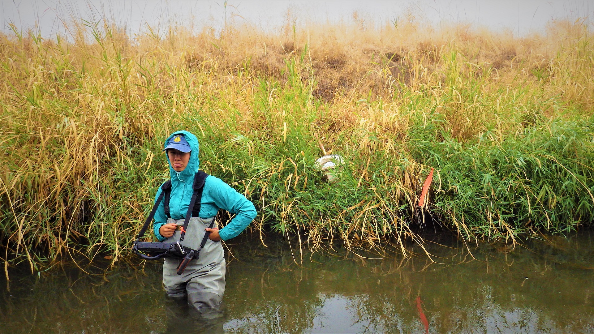 A crew member with a tablet in a large creek
