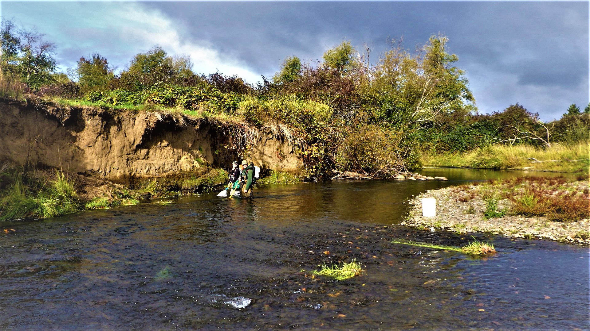Crewmembers using a backpack electroshocking device to fish in a river