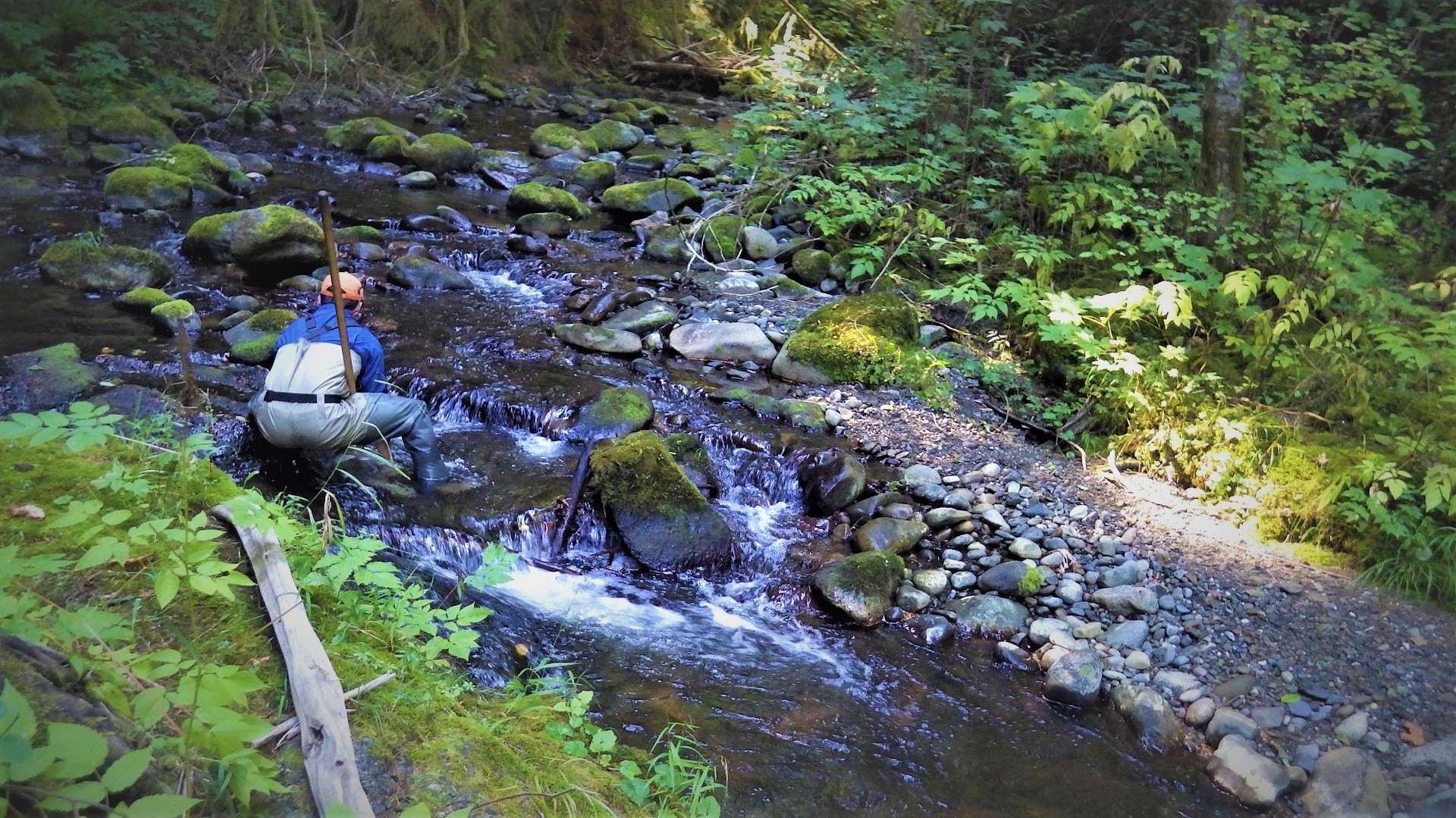 A crewmember holding a net in the stream