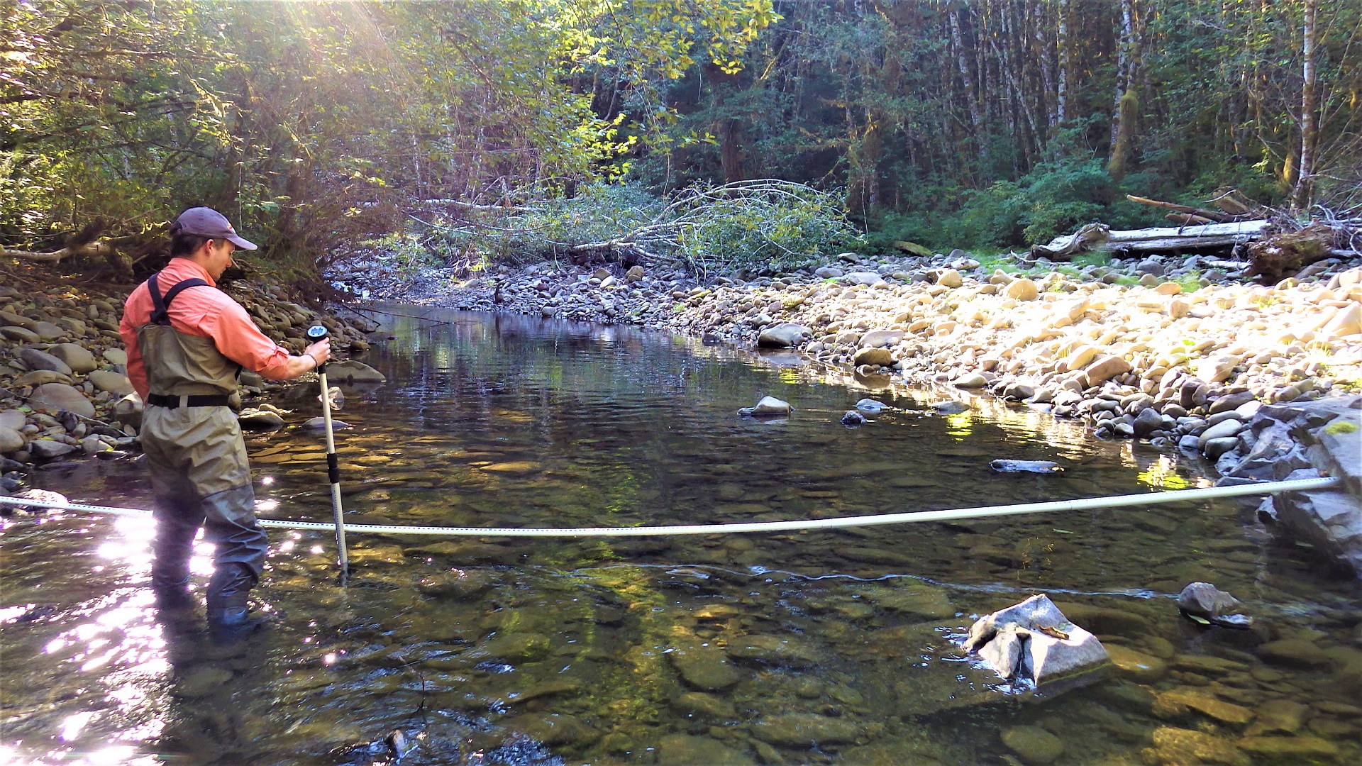 A stream with a measuring rod across it and a crewmember holding a flow device